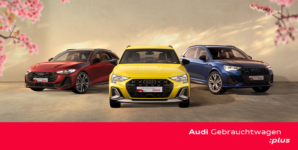 "Audi Gebrauchtwagen :plus Wochen" Drei Fahrzeuge stehen vor sandfarbenem Hintergrund mit Kirschbl&uuml;ten rechts und links.