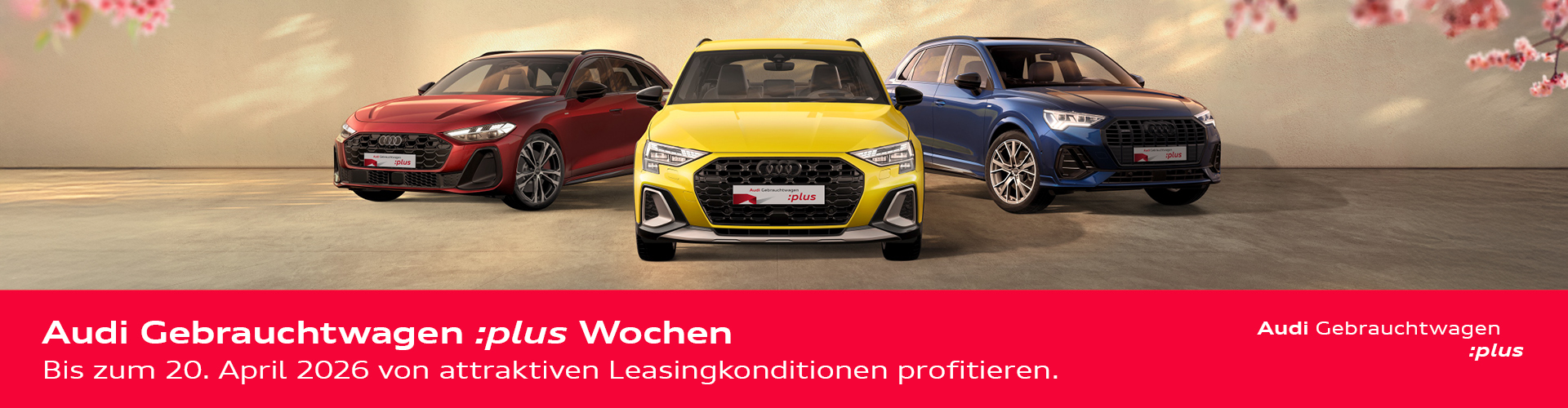 "Audi Gebrauchtwagen :plus Wochen. Bis zum 20. April von attraktiven Leasingkonditionen profitieren" Drei Fahrzeuge auf sandfarbenem Hintergrund mit Kirschbl&uuml;ten links und rechts.