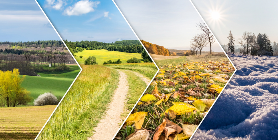 Teaser Audi Original All Season Pakete